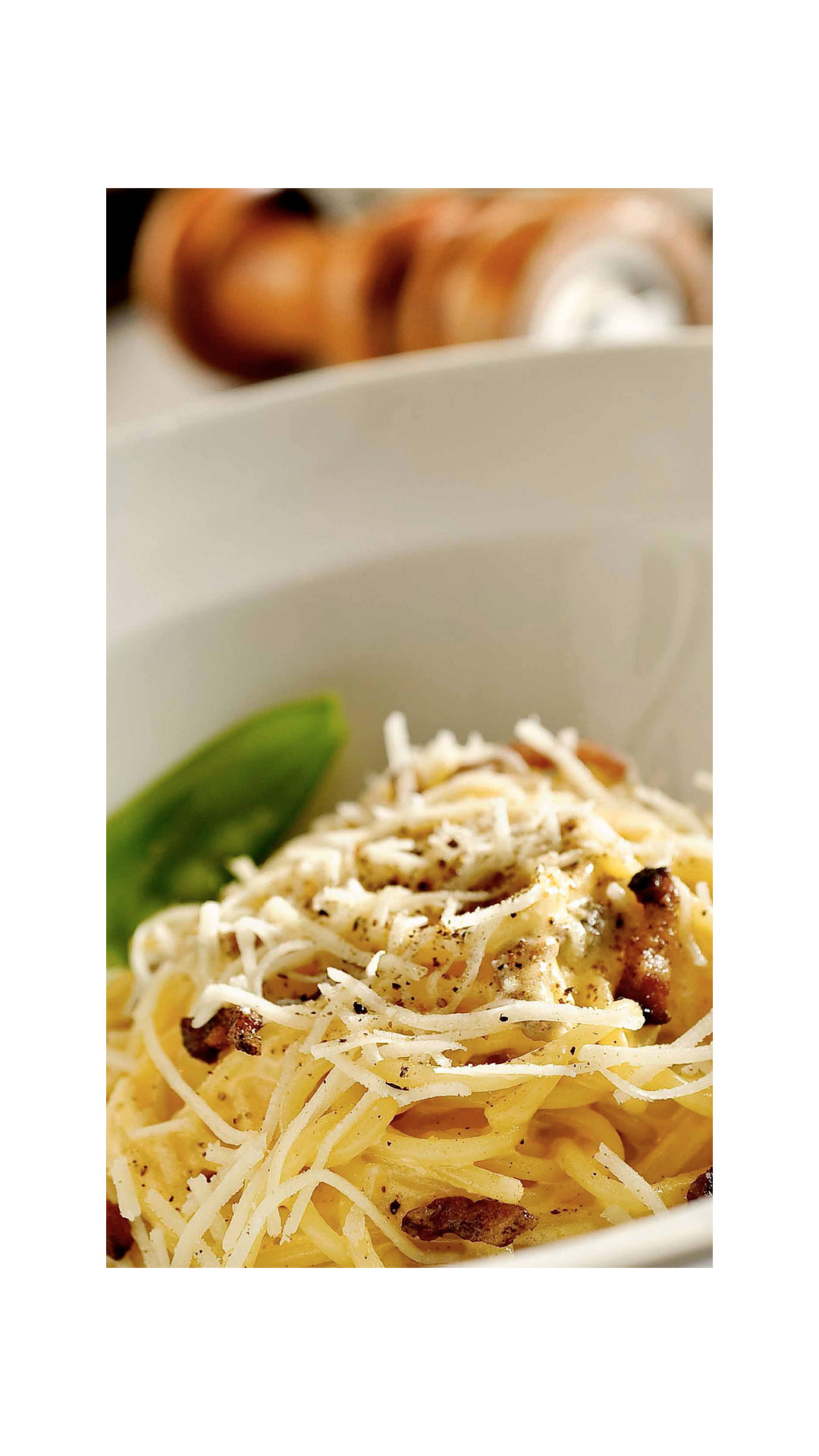 SCIBRA-NOVASMARCAS_PATBO_STCARD4