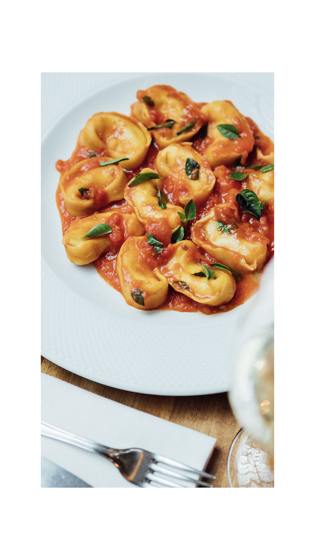 SCIBRA-NOVASMARCAS_PATBO_STCARD5