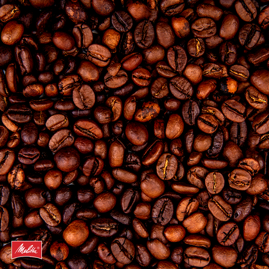 melitta_cards_novembro8